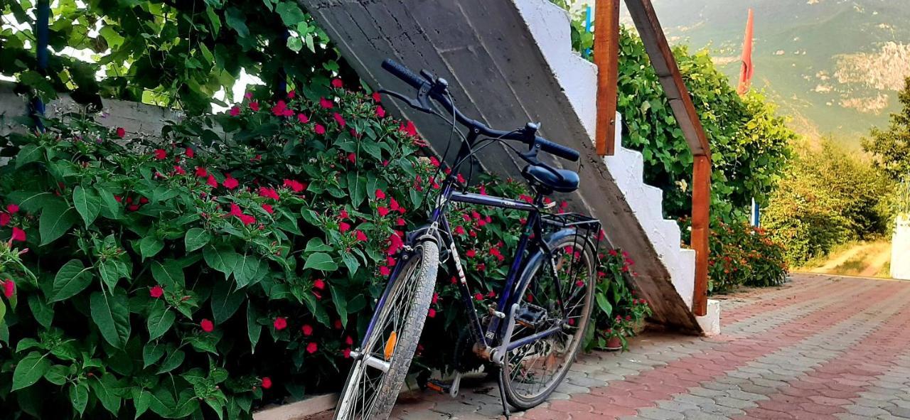 Hotel Camping Superpanorama Kukes Zewnętrze zdjęcie